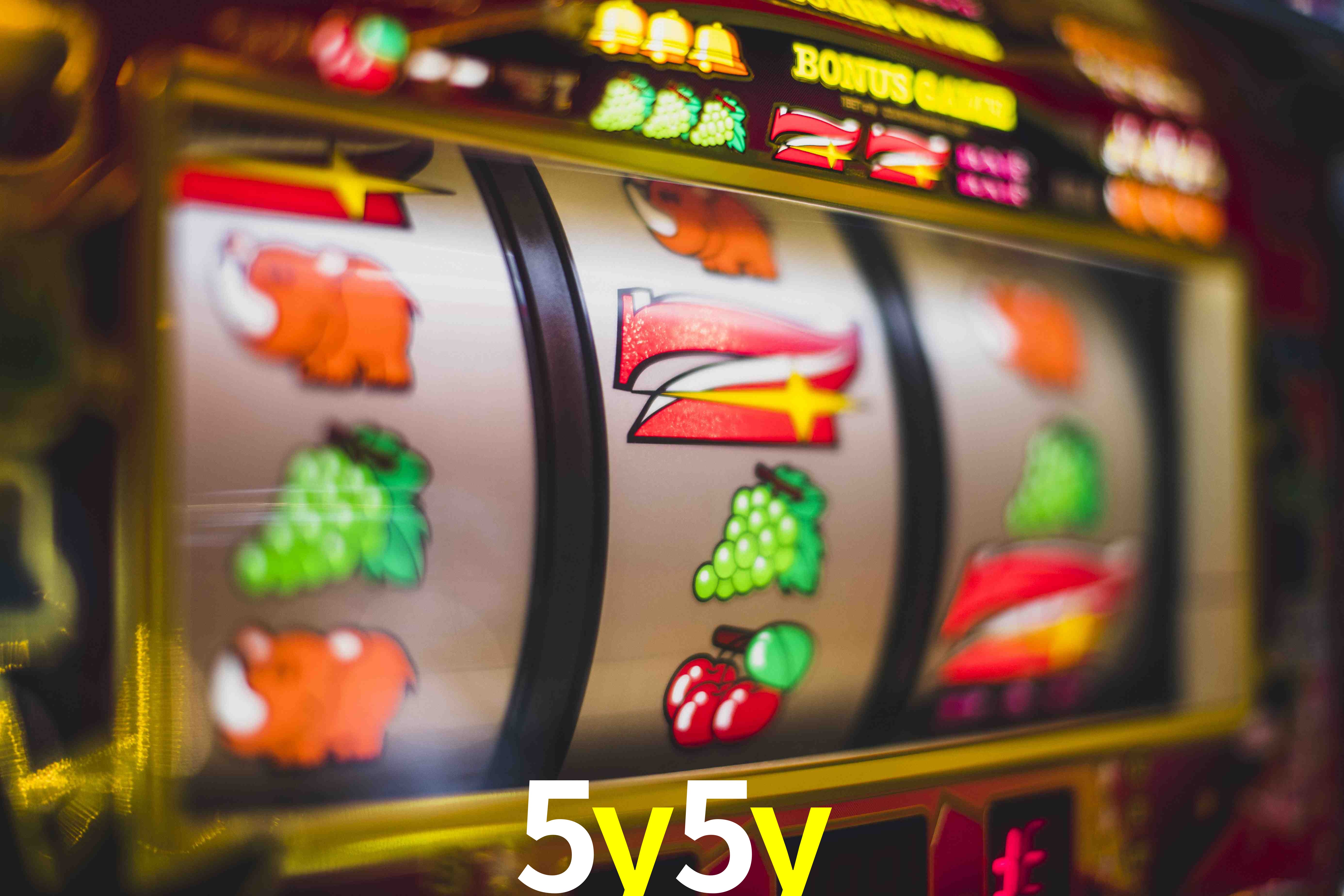 Experiência VIP 5y5y